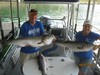 (09/07/2016) - Nice Striped Bass